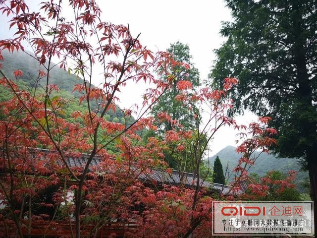 宗源云隐山居